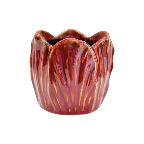 Alyssa Tulip Planter - Sprouts of Bristol