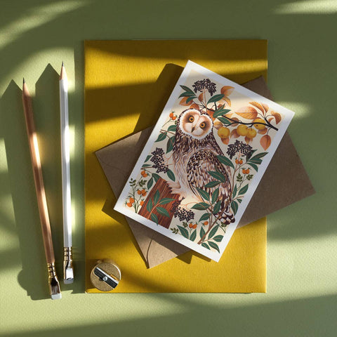 Autumn Owl | Everyday greetings card | Autumn, nature - Sprouts of Bristol