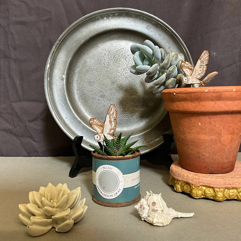 Barn Owl Plant Pot Companions - Sprouts of Bristol