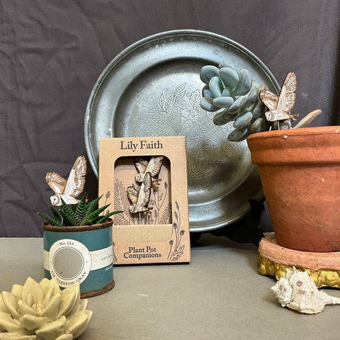 Barn Owl Plant Pot Companions - Sprouts of Bristol