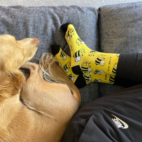 Bee Bamboo Socks - Sprouts of Bristol