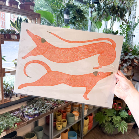Big Stretch Dogs Riso Art Print - Sprouts of Bristol