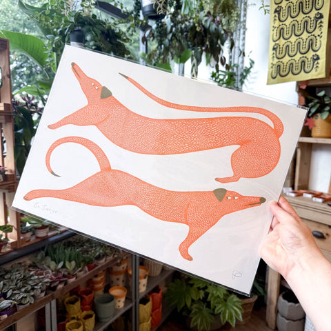 Big Stretch Dogs Riso Art Print - Sprouts of Bristol