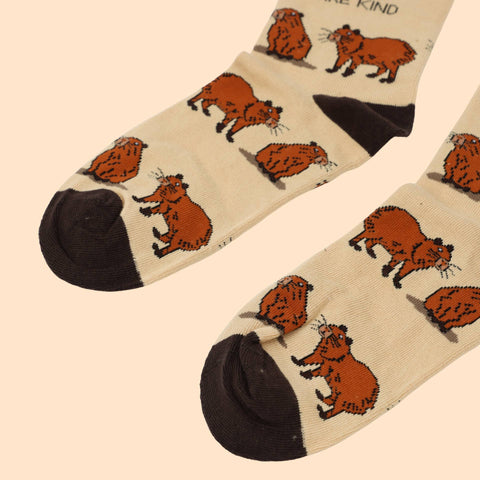 Capybara Bamboo Socks - Sprouts of Bristol