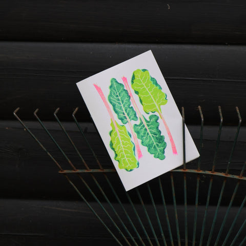 Chard Grow Greetings Card - Sprouts of Bristol