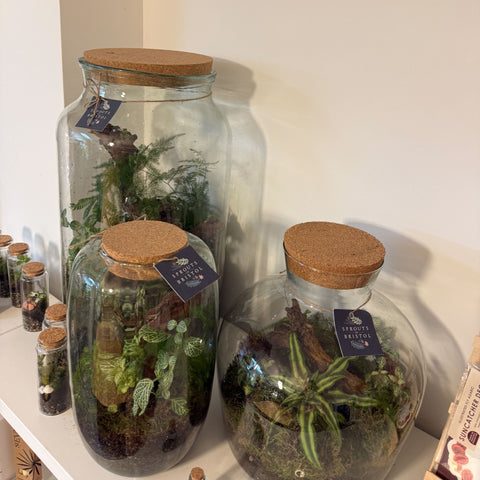 Cork Lid - Perfect Fit for Terrariums and Glass Jars - Various Sizes - Sprouts of Bristol