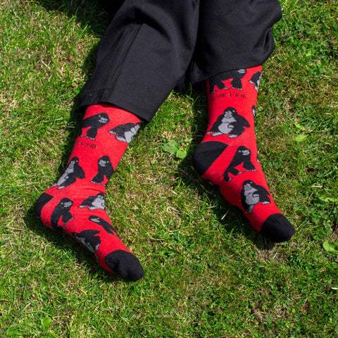 Gorilla Bamboo Socks - Sprouts of Bristol