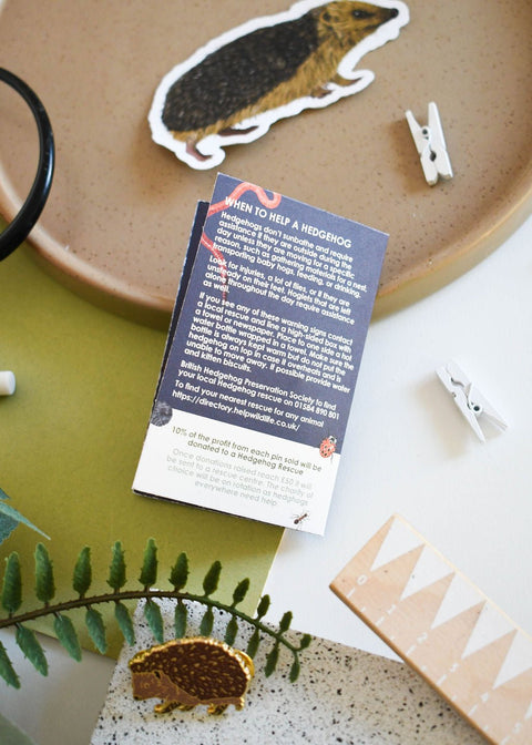 Hedgehog Enamel Pin – Designed by Ferne Creative - Sprouts of Bristol