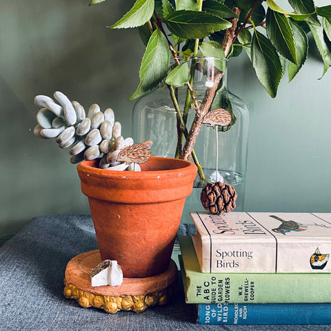 Hedgehog Plant Pot Companions - Sprouts of Bristol