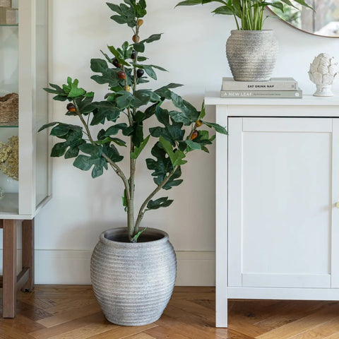 Honeypot Rustic Grey Planter - Sprouts of Bristol
