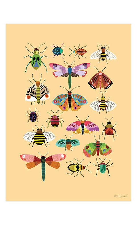 Insects Print A4 - Sprouts of Bristol