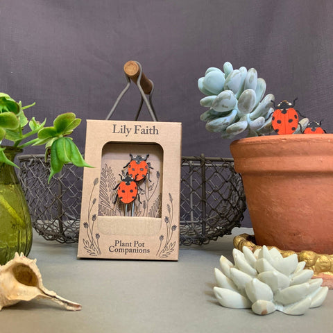 Ladybird Plant Pot Companions - Sprouts of Bristol