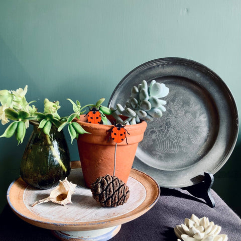 Ladybird Plant Pot Companions - Sprouts of Bristol