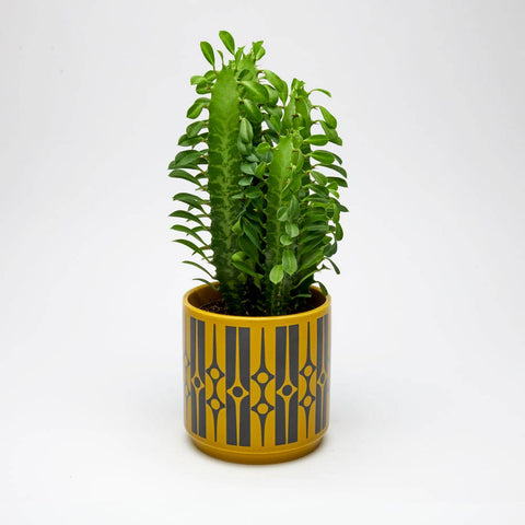 Magpie x Hornsea Medium Planty – Geo Chartreuse Plant Pot - Sprouts of Bristol