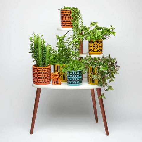 Magpie x Hornsea Small Planty – Geo Flower Yellow Plant Pot - Sprouts of Bristol