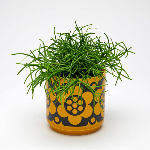 Magpie x Hornsea Small Planty – Geo Flower Yellow Plant Pot - Sprouts of Bristol