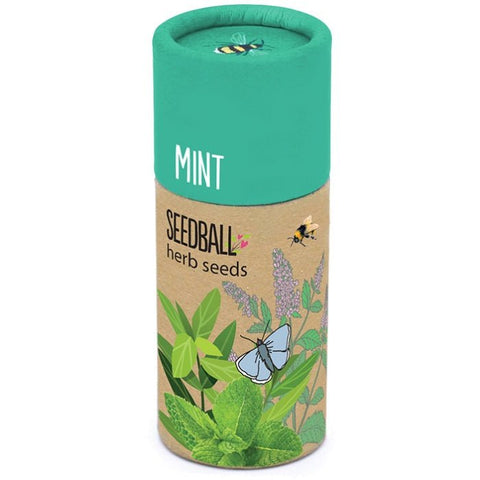 Mint Herb Garden Seedball Tubes - Sprouts of Bristol