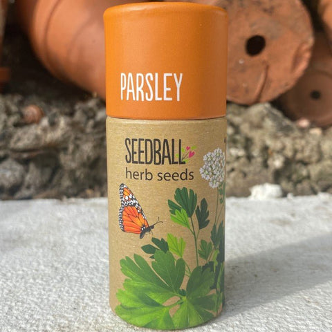 Parsley Herb Garden Seedball Tubes - Sprouts of Bristol