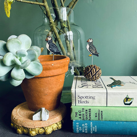 Puffin Plant Pot Companions - Sprouts of Bristol