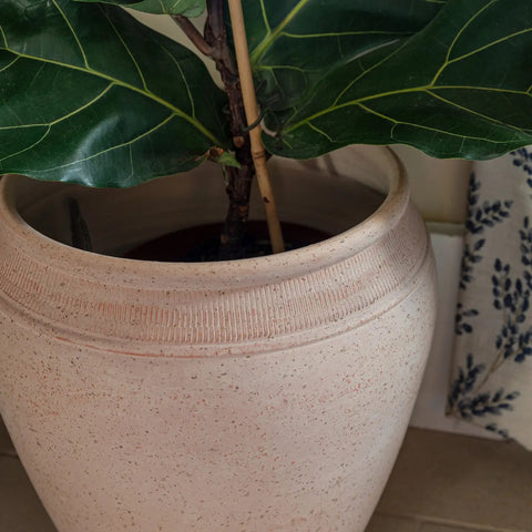 Rhea Terracotta Planter - Sprouts of Bristol