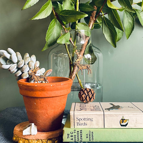 Stag Plant Pot Companions - Sprouts of Bristol