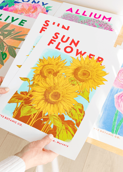 Sunflower Botanical Risograph Print - Sprouts of Bristol