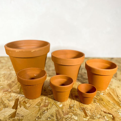Terracotta Saucers - Sprouts of Bristol