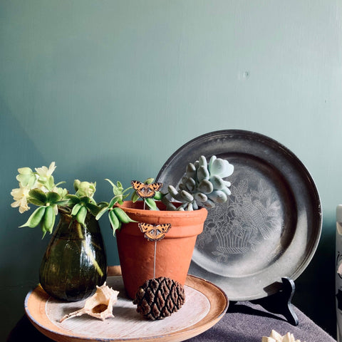 Tortoiseshell Butterfly Plant Pot Companions - Sprouts of Bristol