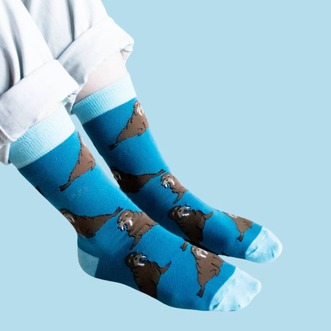 Walrus Bamboo Socks - Sprouts of Bristol