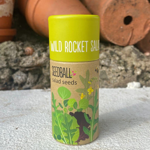 Wild Rocket Salad Herb Garden Seedball Tubes - Sprouts of Bristol