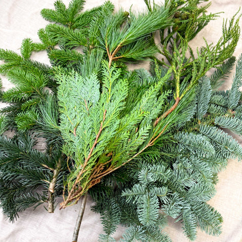 Winter Mix Foliage Branch Selection – Fresh Christmas Craft Greens for Wreaths, Garlands & Festive Floristry - Sprouts of Bristol