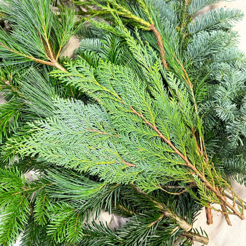 Winter Mix Foliage Branch Selection – Fresh Christmas Craft Greens for Wreaths, Garlands & Festive Floristry - Sprouts of Bristol