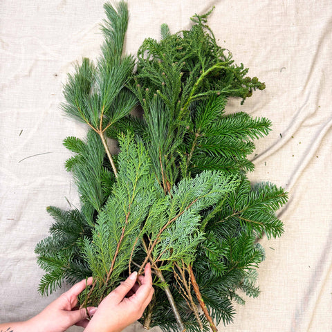 Winter Mix Foliage Branch Selection – Fresh Christmas Craft Greens for Wreaths, Garlands & Festive Floristry - Sprouts of Bristol
