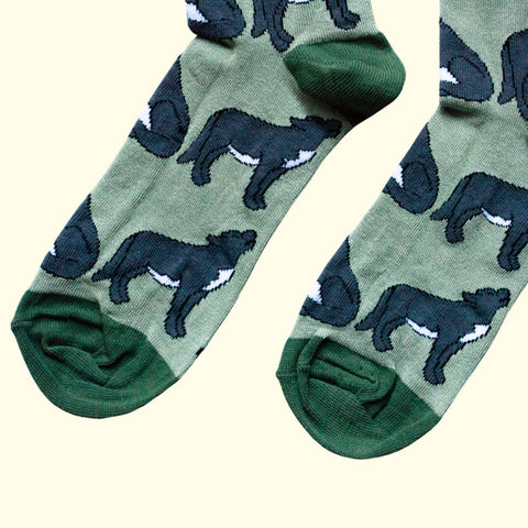 Wolves Bamboo Socks - Sprouts of Bristol