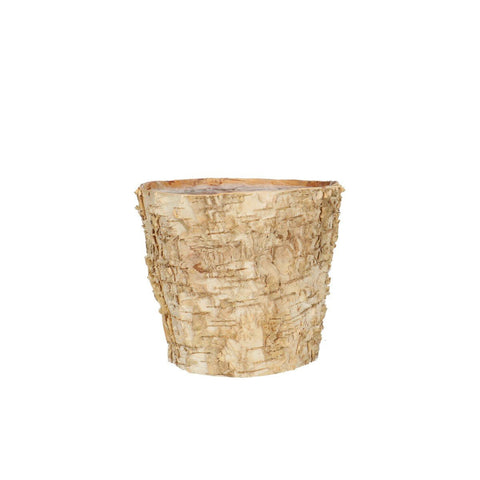 Wooden Birch Bark Planter Hire – Various Sizes - Sprouts of Bristol