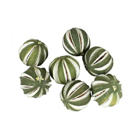 Dried Whole Green Oranges / Limes - Christmas Craft Wreath Florist Festive Decoration - Sprouts of Bristol