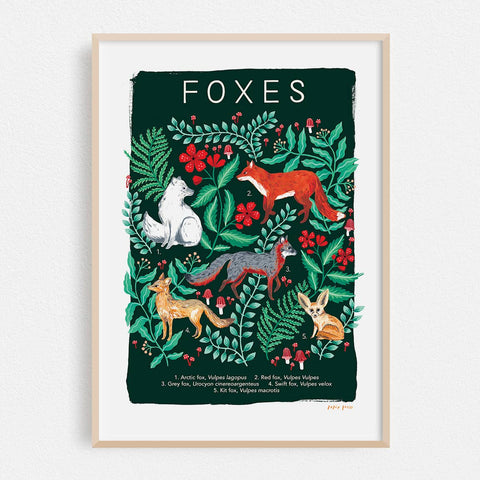 Fox Natural History Print Artists Print Wall Art - Sprouts of Bristol