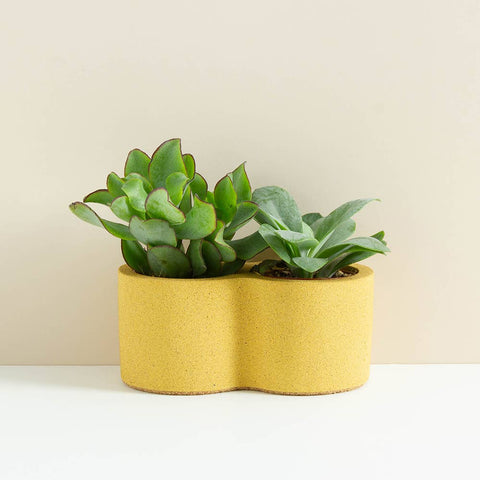 Rowan Double Planter - Sprouts of Bristol