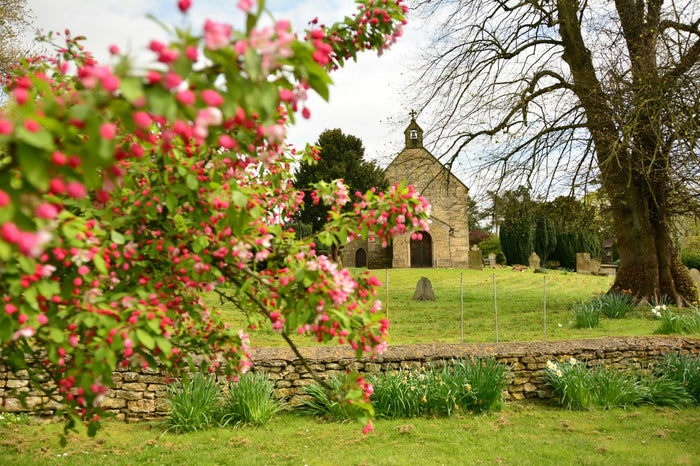 The History of Mother’s Day & Mothering Sunday: How Traditions Have Evolved