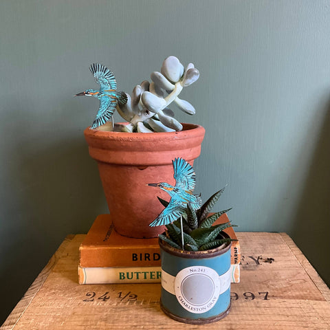 Kingfisher Plant Pot Companions 