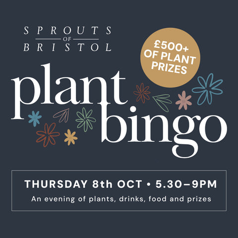 House Plant Bingo
