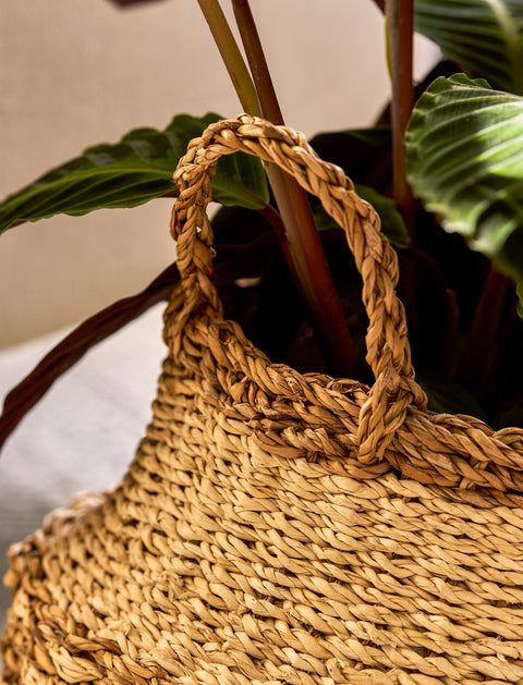 Kingsmead Belly Basket Pot in Seagrass