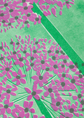 Allium Botanical Risograph Print - Sprouts of Bristol