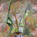 Alocasia zebrina 'Tigrina Superba' - Sprouts of Bristol