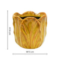Alyssa Tulip Planter - Sprouts of Bristol