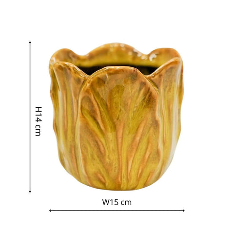 Alyssa Tulip Planter - Sprouts of Bristol