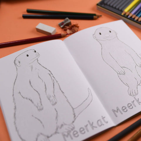 Amazing Animal Families Colouring Book - Sprouts of Bristol