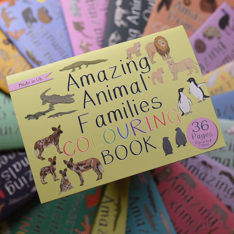 Amazing Animal Families Colouring Book - Sprouts of Bristol