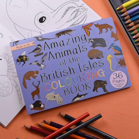 Amazing Animals of the British Isles Colouring Book - Sprouts of Bristol