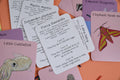Amazing Animals of the British Isles Fact Cards - Sprouts of Bristol